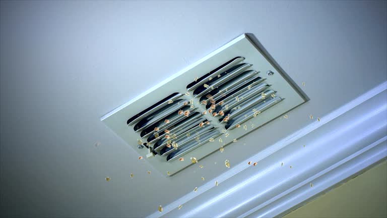 Best Local Air Duct Cleaning Services  in Elsmere, DE