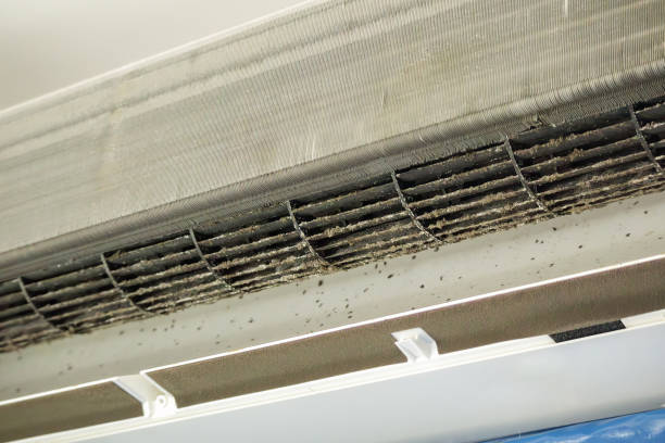 Best Home Air Vent Cleaning  in Elsmere, DE